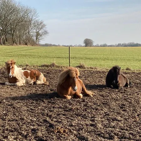 Topagergaard * Bredsten (Velje)